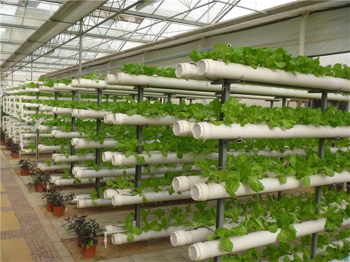 眉山市薄膜大棚种植槽 - 方案